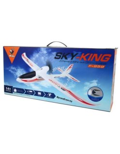 Wltoys F959 - Avion Sky Fly 3Ch 2.4Ghz | Big Bang Hobbies