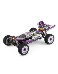Wltoys 124019 RC Car 4x4 1:12 Buggy RTR +55km/h | Big Bang Hobbies