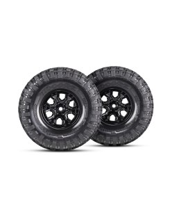 Traxxas TRX-4 Ford Bronco 1/10 Crawler TQi | Big Bang Hobbies