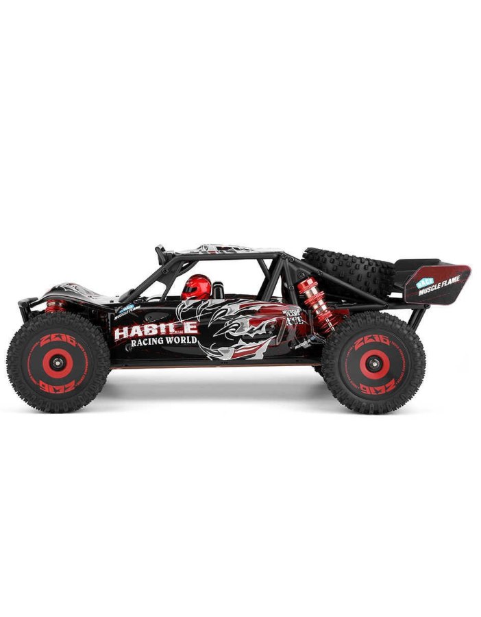 Coche Teledirigido Wltoys Baja Buggy Brushless | Big Bang Hobbies