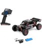 Coche Teledirigido Wltoys Baja Buggy Brushless | Big Bang Hobbies