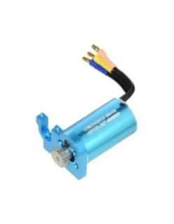 Wltoys 124016 Brushless Motor - Big Bang Hobbies