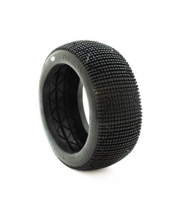 Procircuit Trigon v3 (Goma) | Big Bang Hobbies