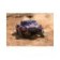 Traxxas Slash 4x2 1/10 Brushed TQ 2.4Ghz