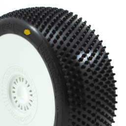 Procircuit Grasshopper Collé Jantes Blanc | Big Bang Hobbies