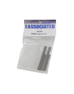 Associated RC8B3.1 Hinge Pin Set | Big Bang Hobbies