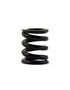 Associated B44/B6/B6D Slipper Spring | Big Bang Hobbies
